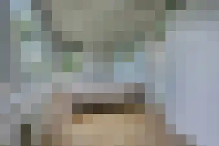 Waalbandijk 62 Gameren thumbnail 47