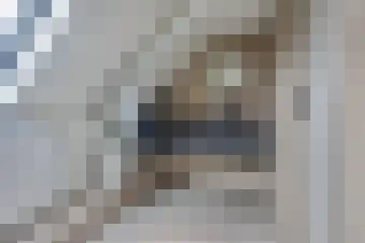 Waalbandijk 62 Gameren thumbnail 55