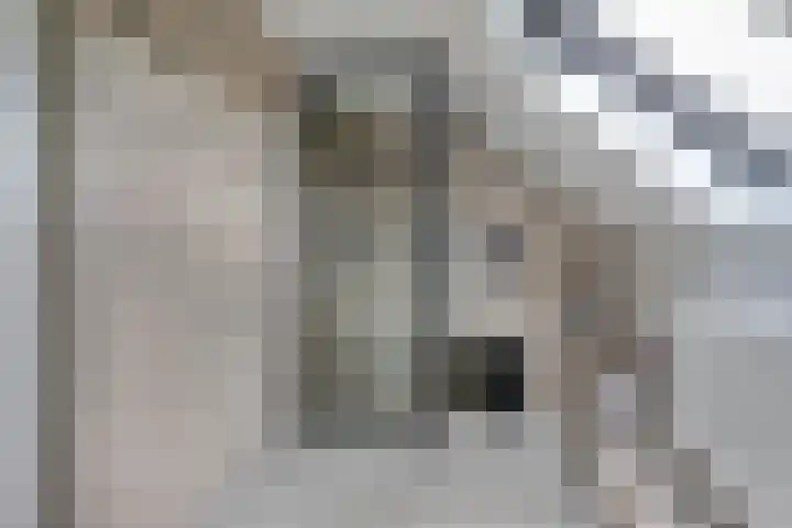 Waalbandijk 62 Gameren thumbnail 56
