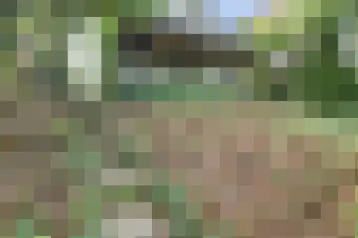 Waalbandijk 62 Gameren thumbnail 64