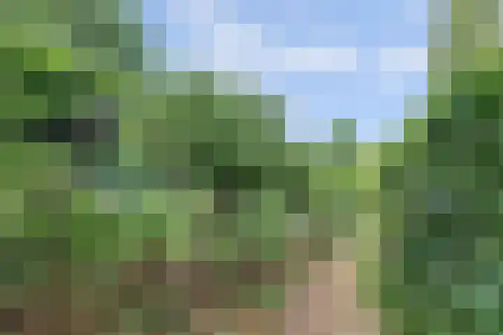 Waalbandijk 62 Gameren thumbnail 65
