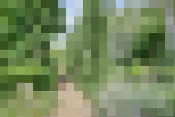 Waalbandijk 62 Gameren thumbnail 66