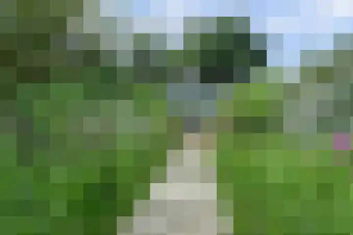 Waalbandijk 62 Gameren thumbnail 67