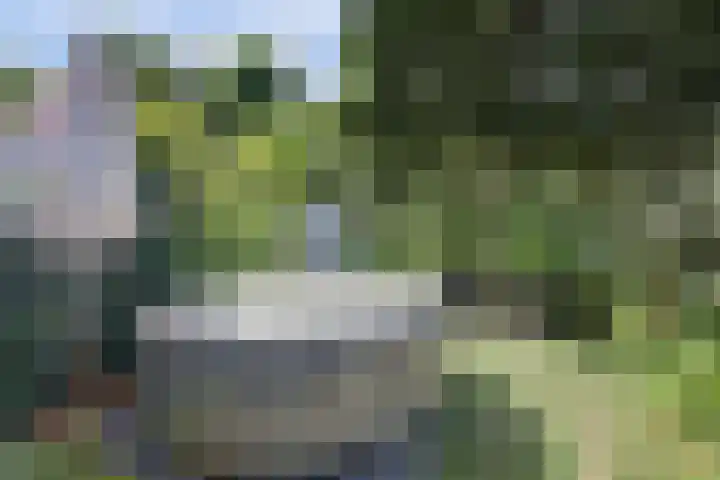 Waalbandijk 62 Gameren thumbnail 68