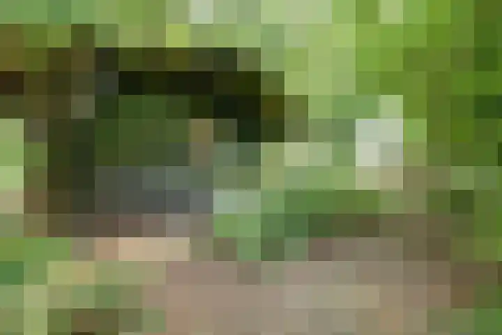 Waalbandijk 62 Gameren thumbnail 69