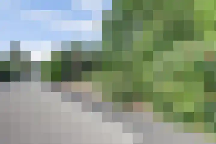 Waalbandijk 62 Gameren thumbnail 7