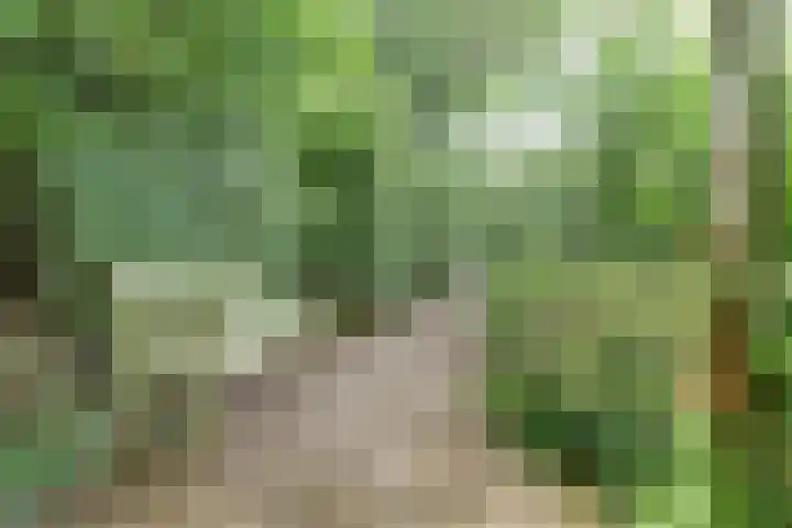 Waalbandijk 62 Gameren thumbnail 70