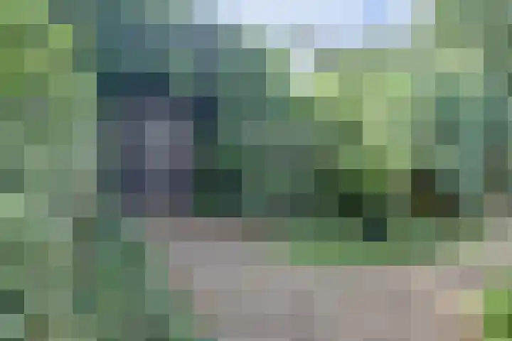 Waalbandijk 62 Gameren thumbnail 71