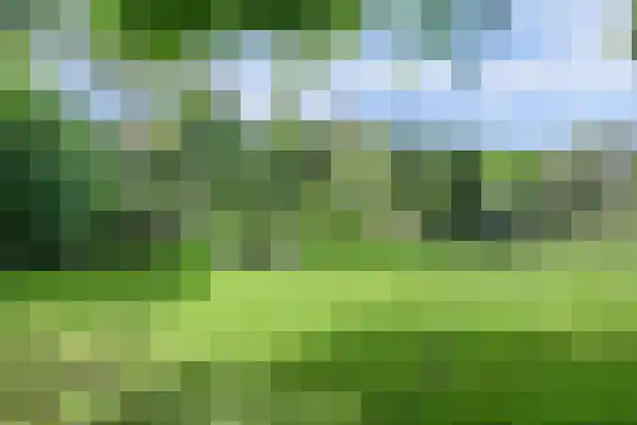 Waalbandijk 62 Gameren thumbnail 73
