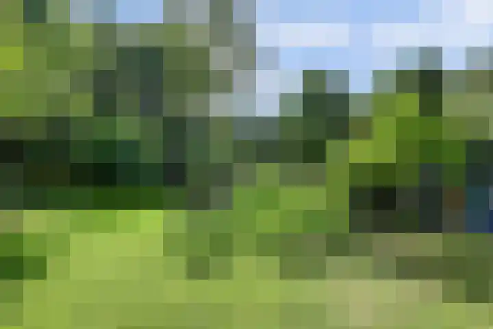Waalbandijk 62 Gameren thumbnail 74