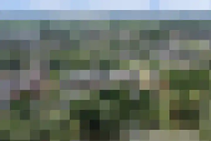 Waalbandijk 62 Gameren thumbnail 75