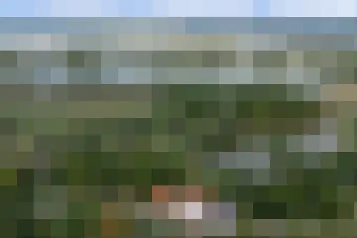 Waalbandijk 62 Gameren thumbnail 76