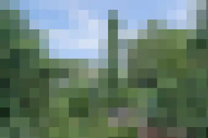 Waalbandijk 62 Gameren thumbnail 8