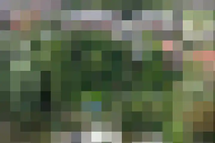 Waalbandijk 62 Gameren thumbnail 9