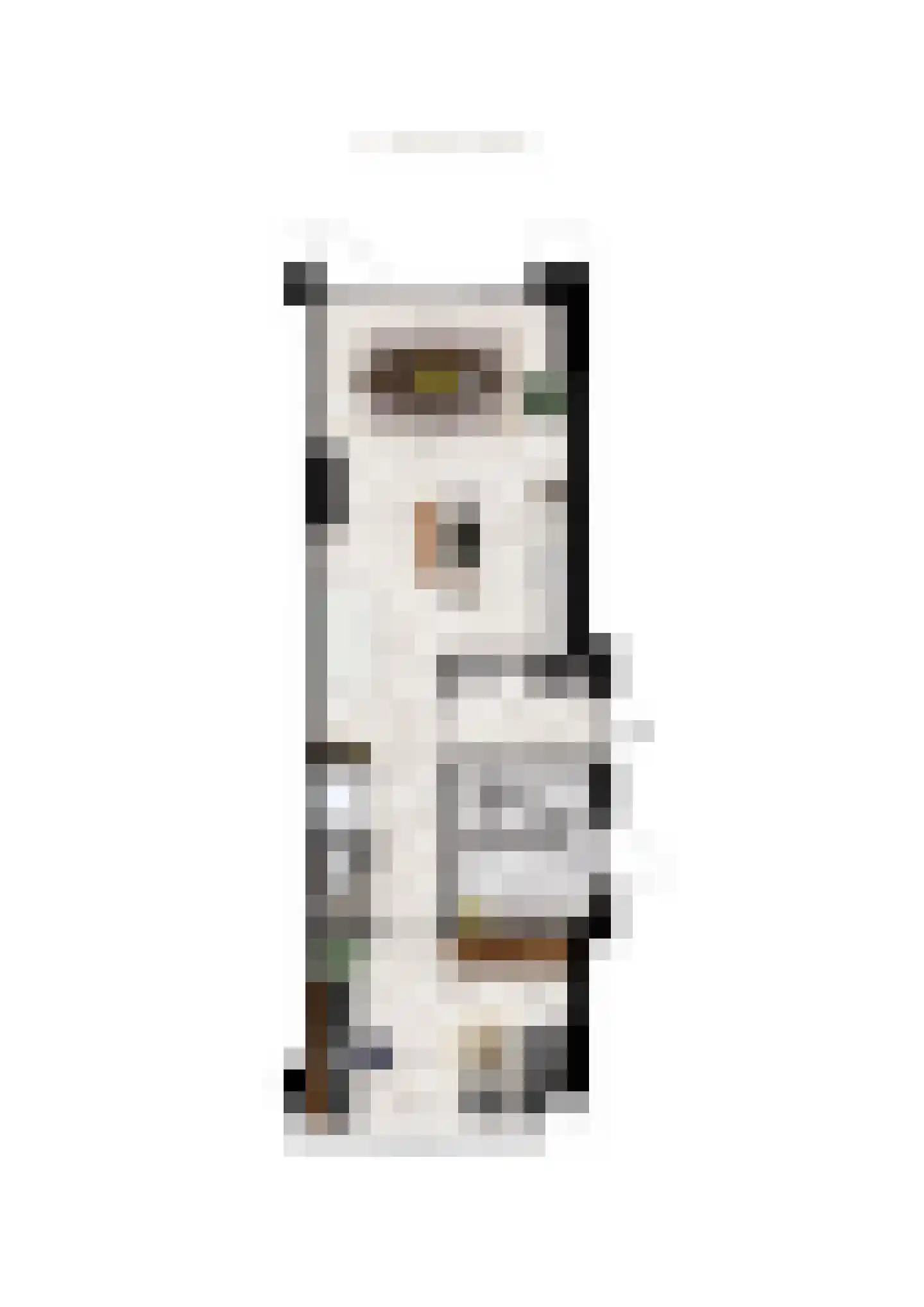 Waalbandijk 64 Beneden-Leeuwen thumbnail 5