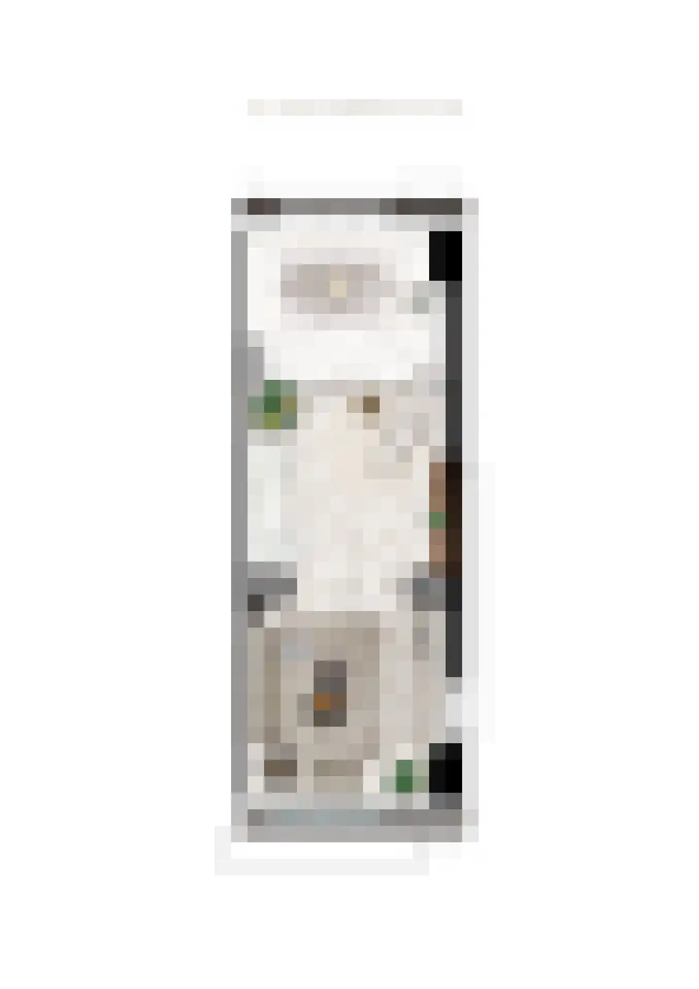 Waalbandijk 64 Beneden-Leeuwen thumbnail 6
