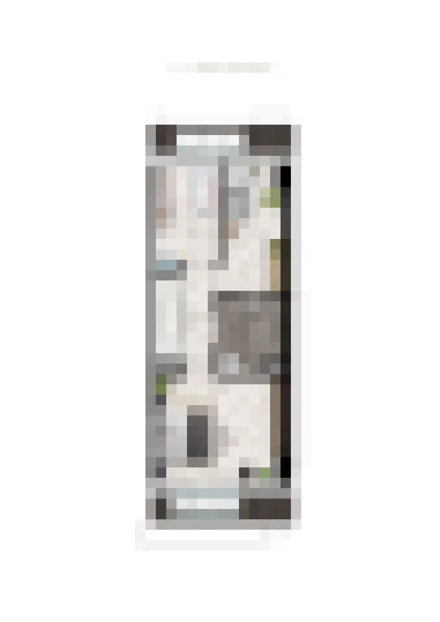 Waalbandijk 64 Beneden-Leeuwen thumbnail 7