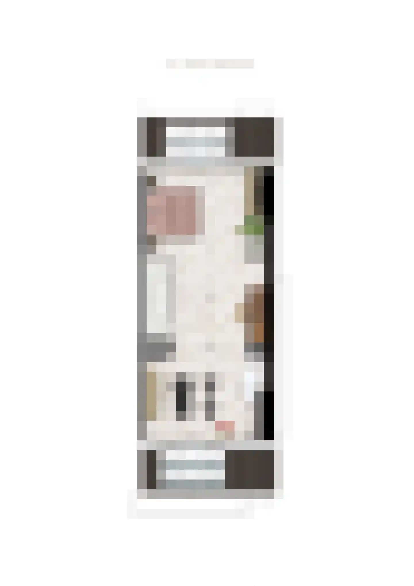 Waalbandijk 64 Beneden-Leeuwen thumbnail 8