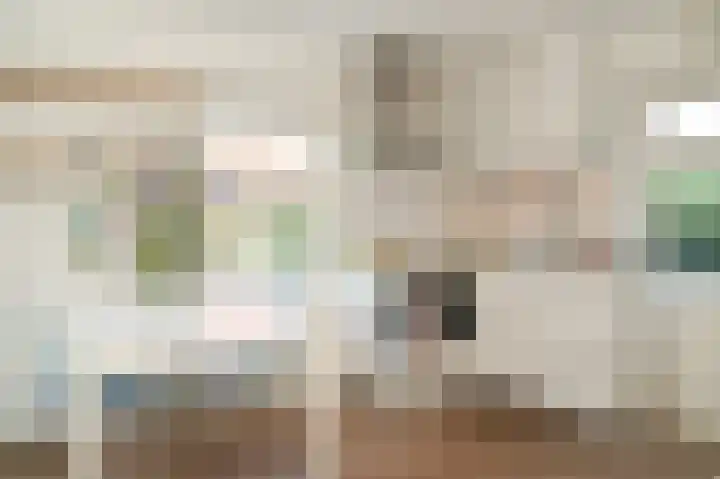 Waalbandijk 66 Gameren thumbnail 10