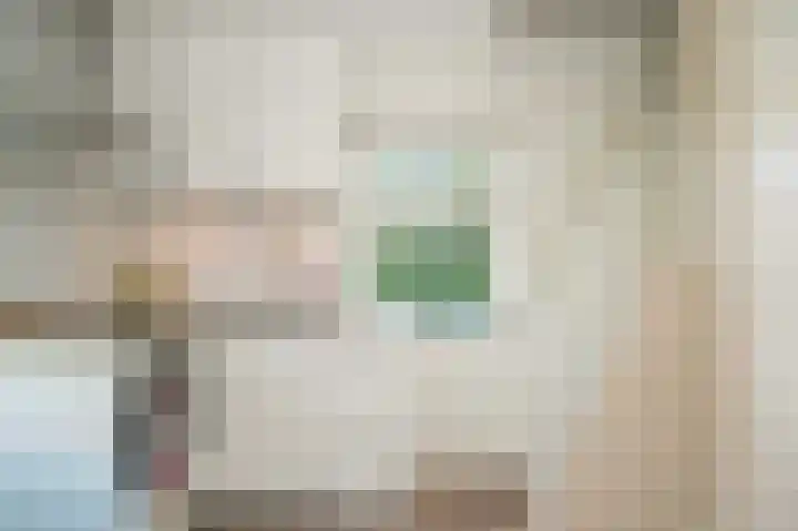 Waalbandijk 66 Gameren thumbnail 11