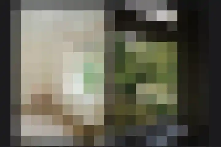 Waalbandijk 66 Gameren thumbnail 18