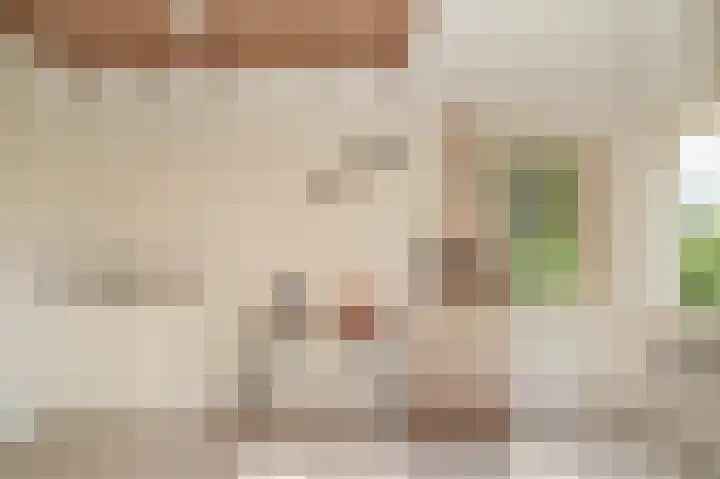 Waalbandijk 66 Gameren thumbnail 25