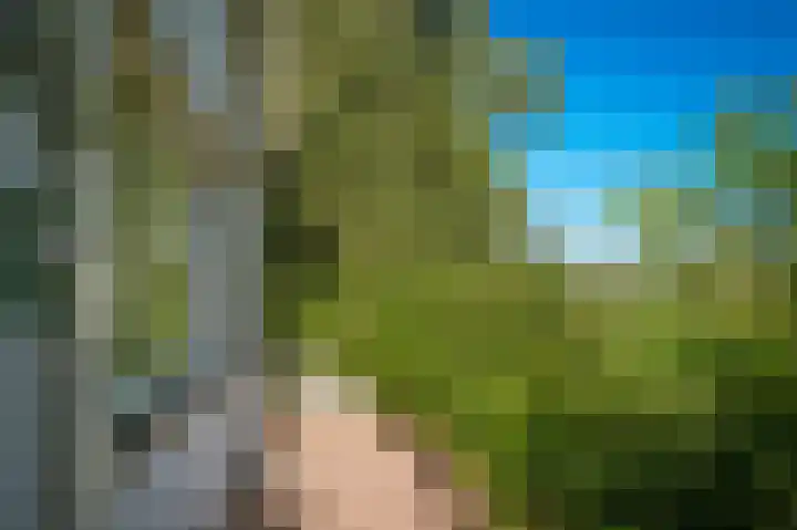Waalbandijk 66 Gameren thumbnail 28