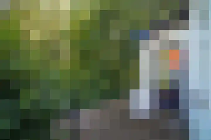 Waalbandijk 66 Gameren thumbnail 32