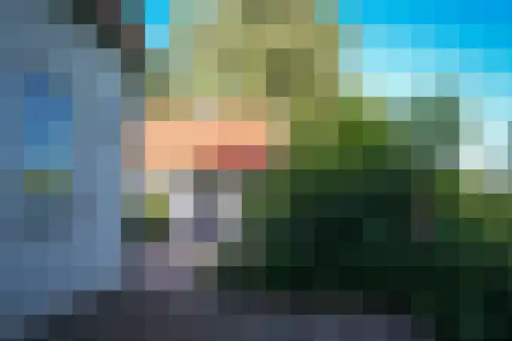 Waalbandijk 66 Gameren thumbnail 34