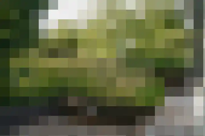 Waalbandijk 66 Gameren thumbnail 35