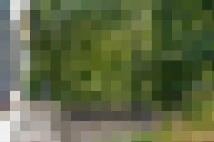 Waalbandijk 66 Gameren thumbnail 36