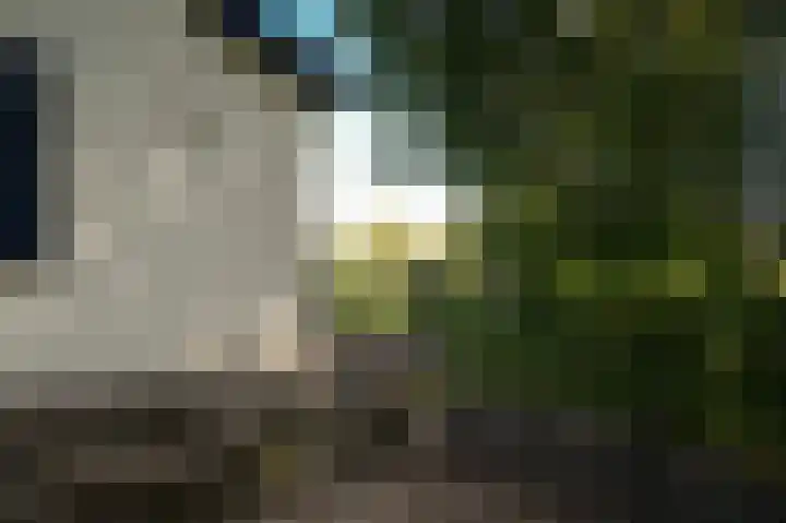 Waalbandijk 66 Gameren thumbnail 37