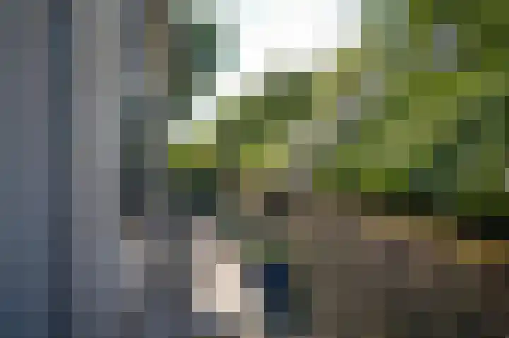 Waalbandijk 66 Gameren thumbnail 38
