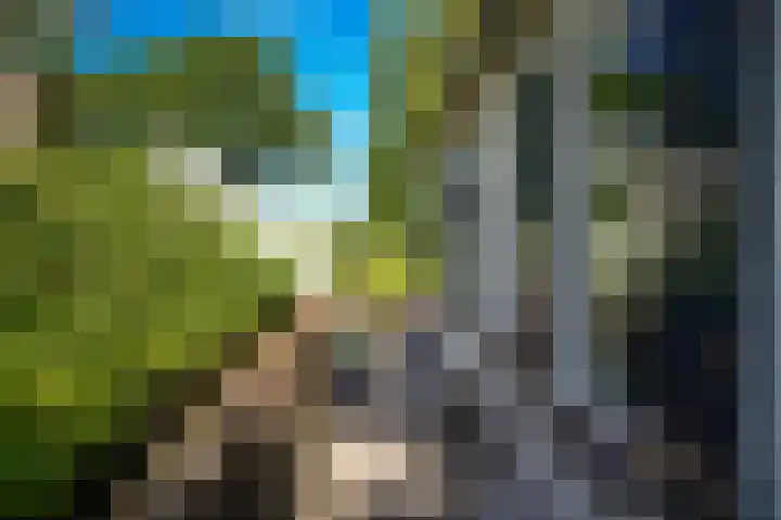 Waalbandijk 66 Gameren thumbnail 39