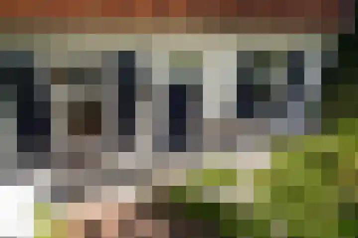 Waalbandijk 66 Gameren thumbnail 40