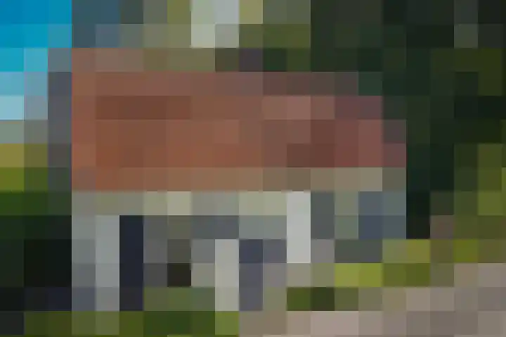 Waalbandijk 66 Gameren thumbnail 41