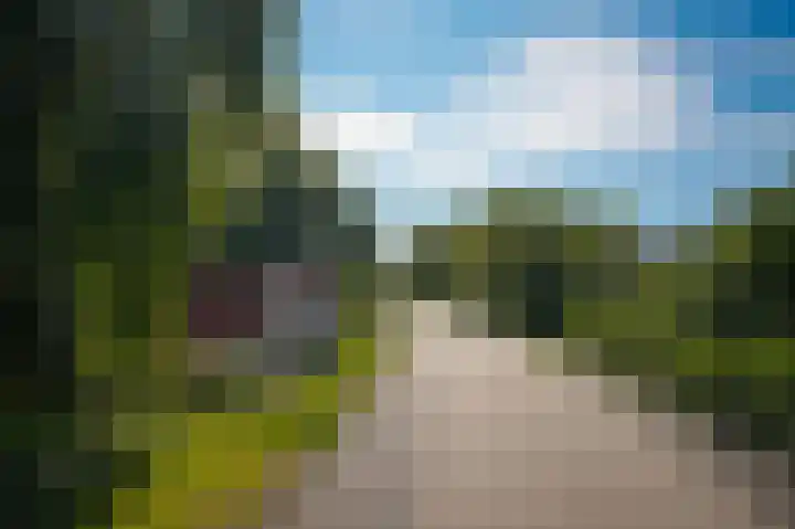 Waalbandijk 66 Gameren thumbnail 44