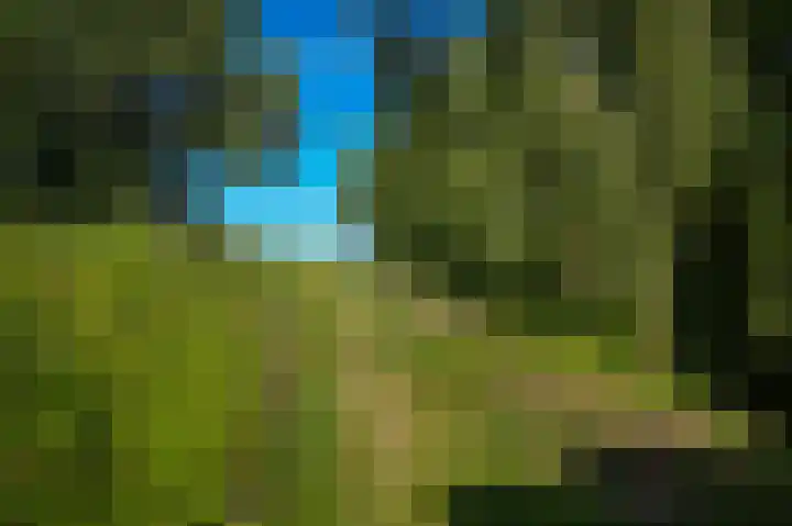 Waalbandijk 66 Gameren thumbnail 45