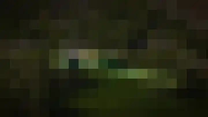 Waalbandijk 66 Gameren thumbnail 49