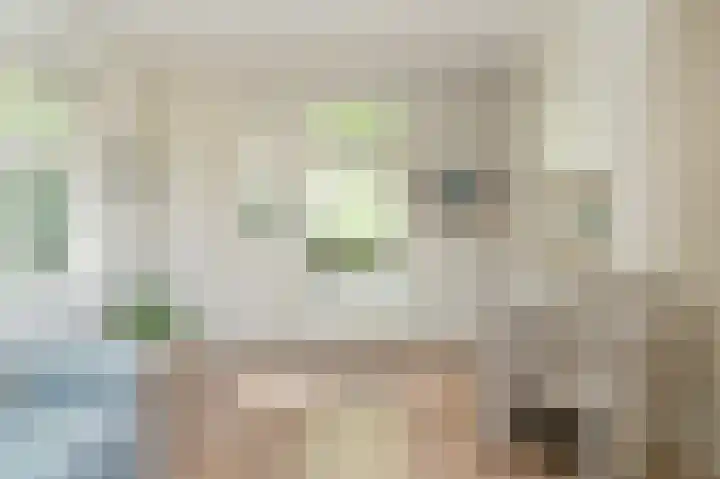 Waalbandijk 66 Gameren thumbnail 5