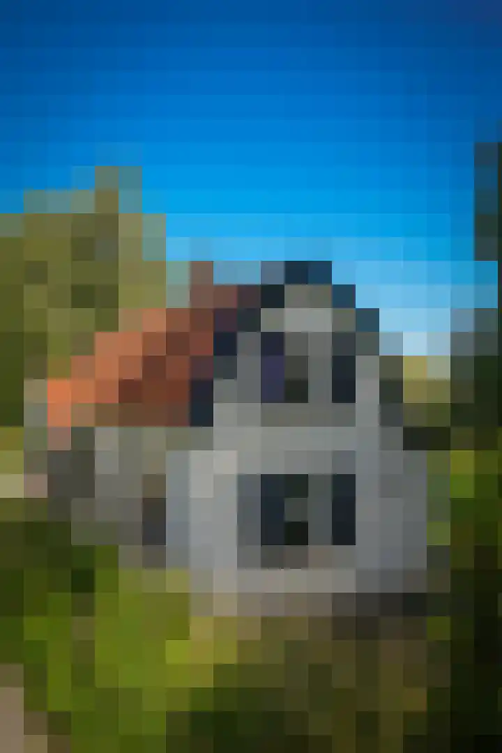 Waalbandijk 66 Gameren thumbnail 52