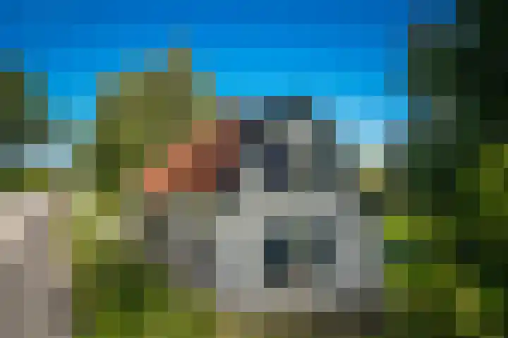 Waalbandijk 66 Gameren thumbnail 59