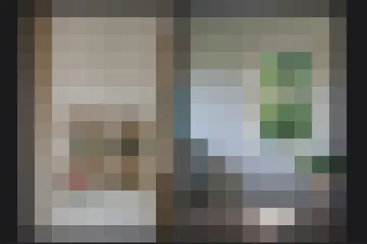 Waalbandijk 66 Gameren thumbnail 6