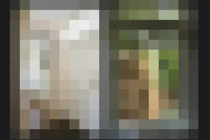 Waalbandijk 66 Gameren thumbnail 9