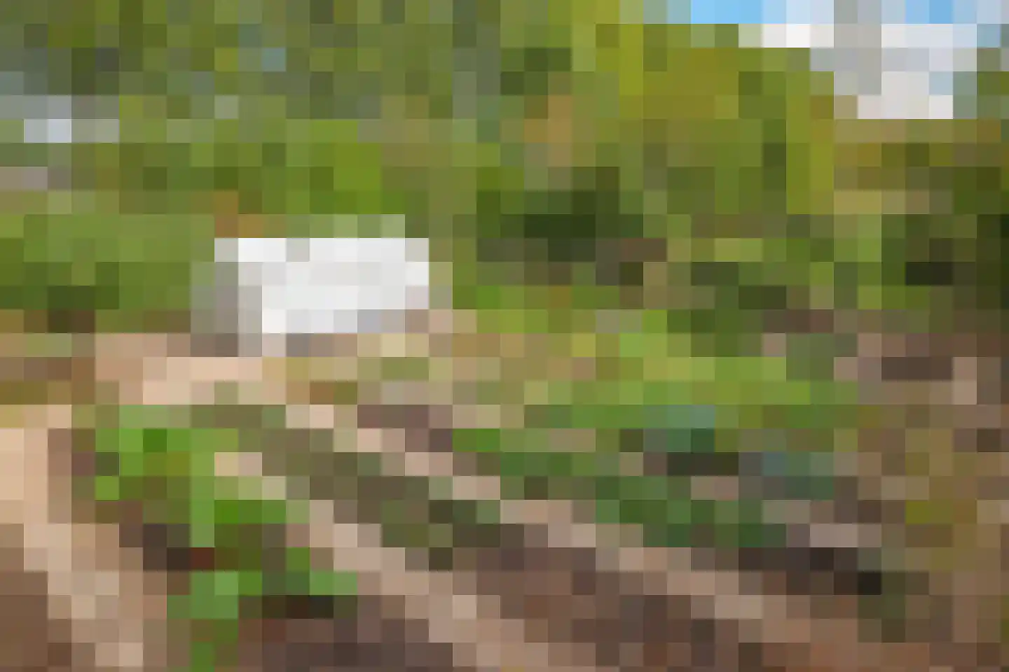 Waalbandijk 7 Dodewaard thumbnail 108