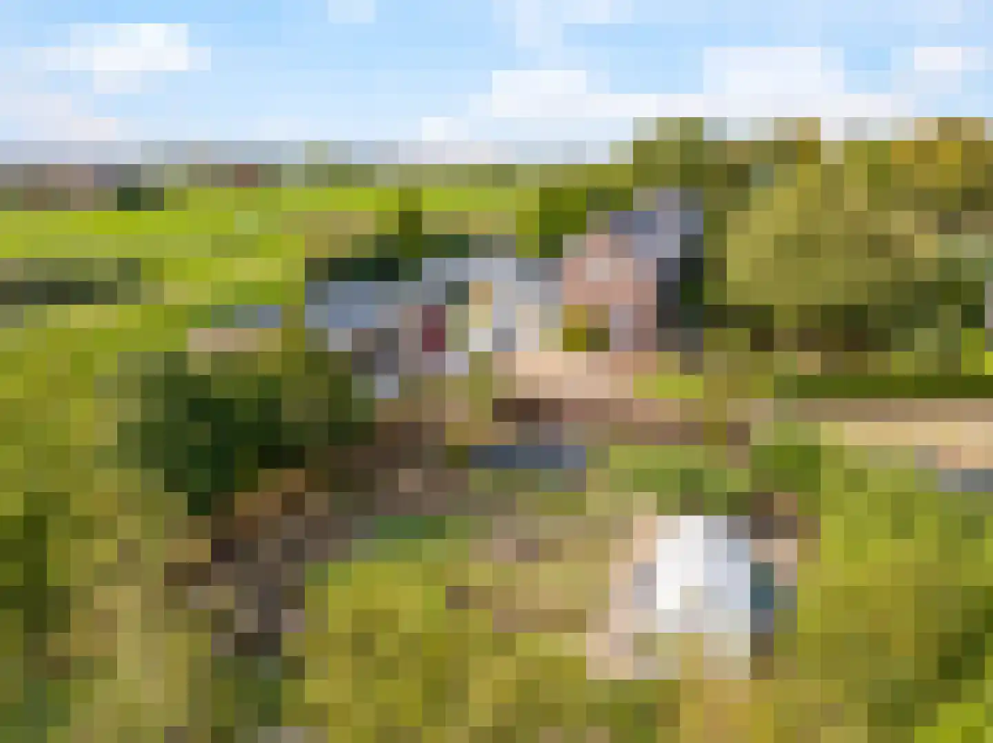 Waalbandijk 7 Dodewaard thumbnail 111