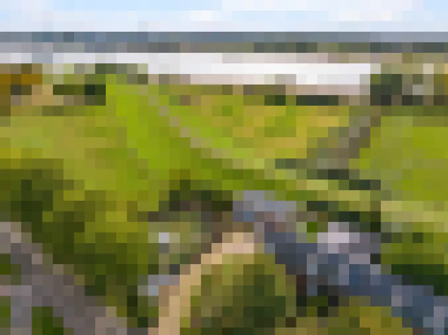 Waalbandijk 7 Dodewaard thumbnail 114