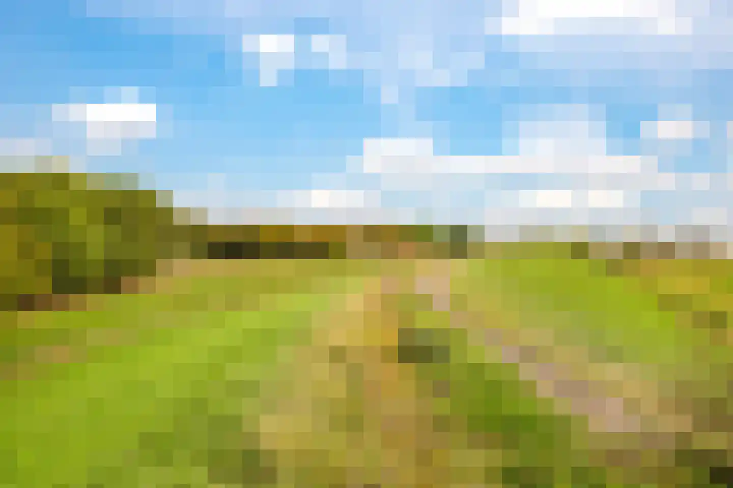 Waalbandijk 7 Dodewaard thumbnail 120