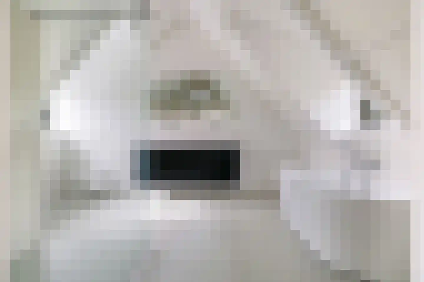 Waalbandijk 7 Dodewaard thumbnail 14