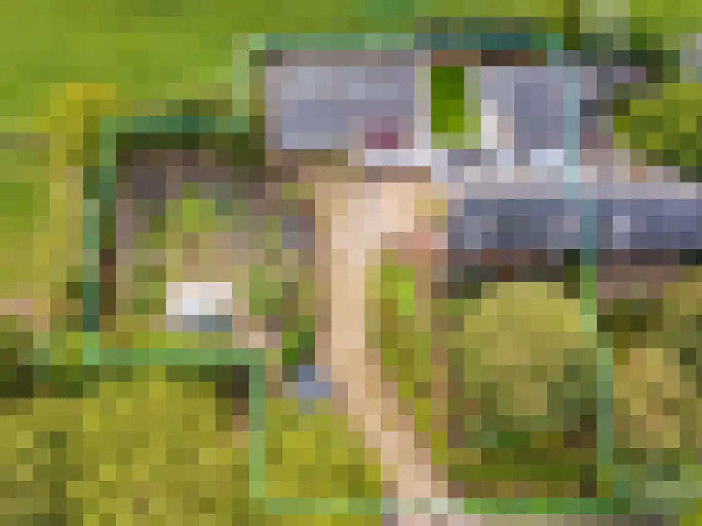 Waalbandijk 7 Dodewaard thumbnail 21